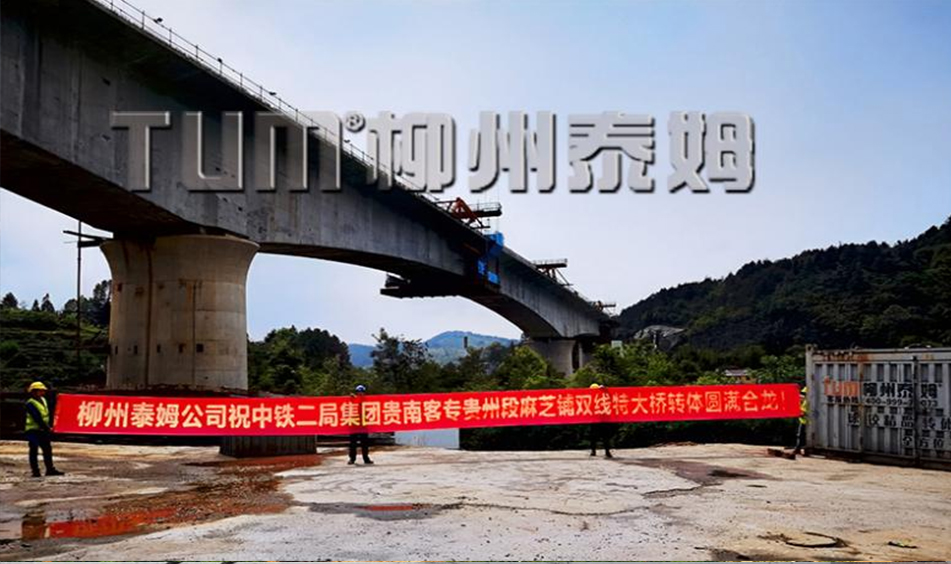 贵南高铁贵州段麻芝铺双线大桥连续梁转体桥（中铁二局）